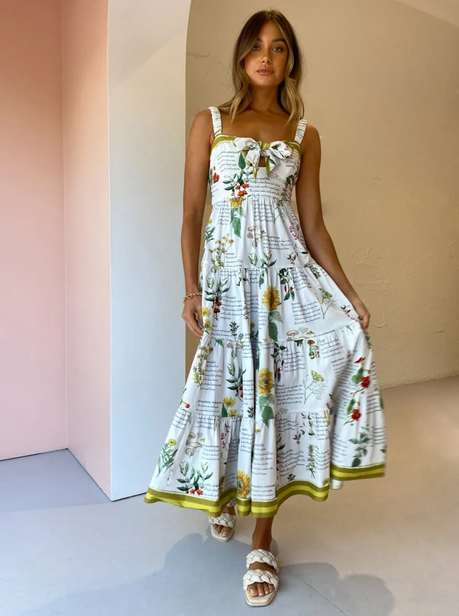 Alemais Rosie Midi Dress in Multi