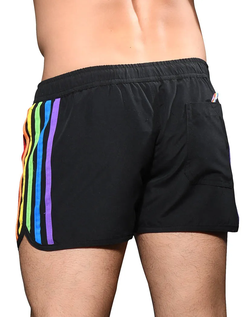 Andrew Christian Luxe Pride Swim Shorts 7903