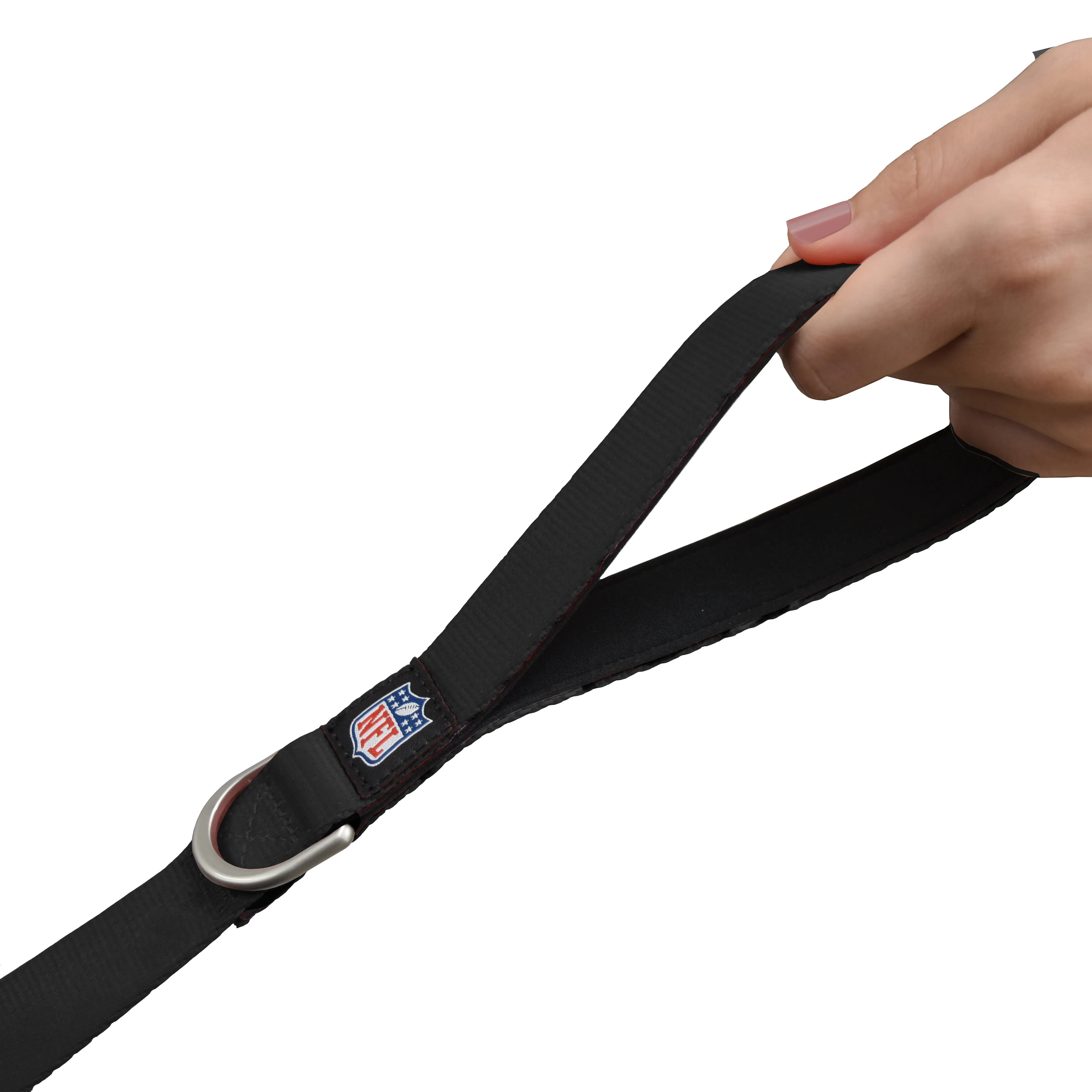 Atlanta Falcons Premium Pet Lead