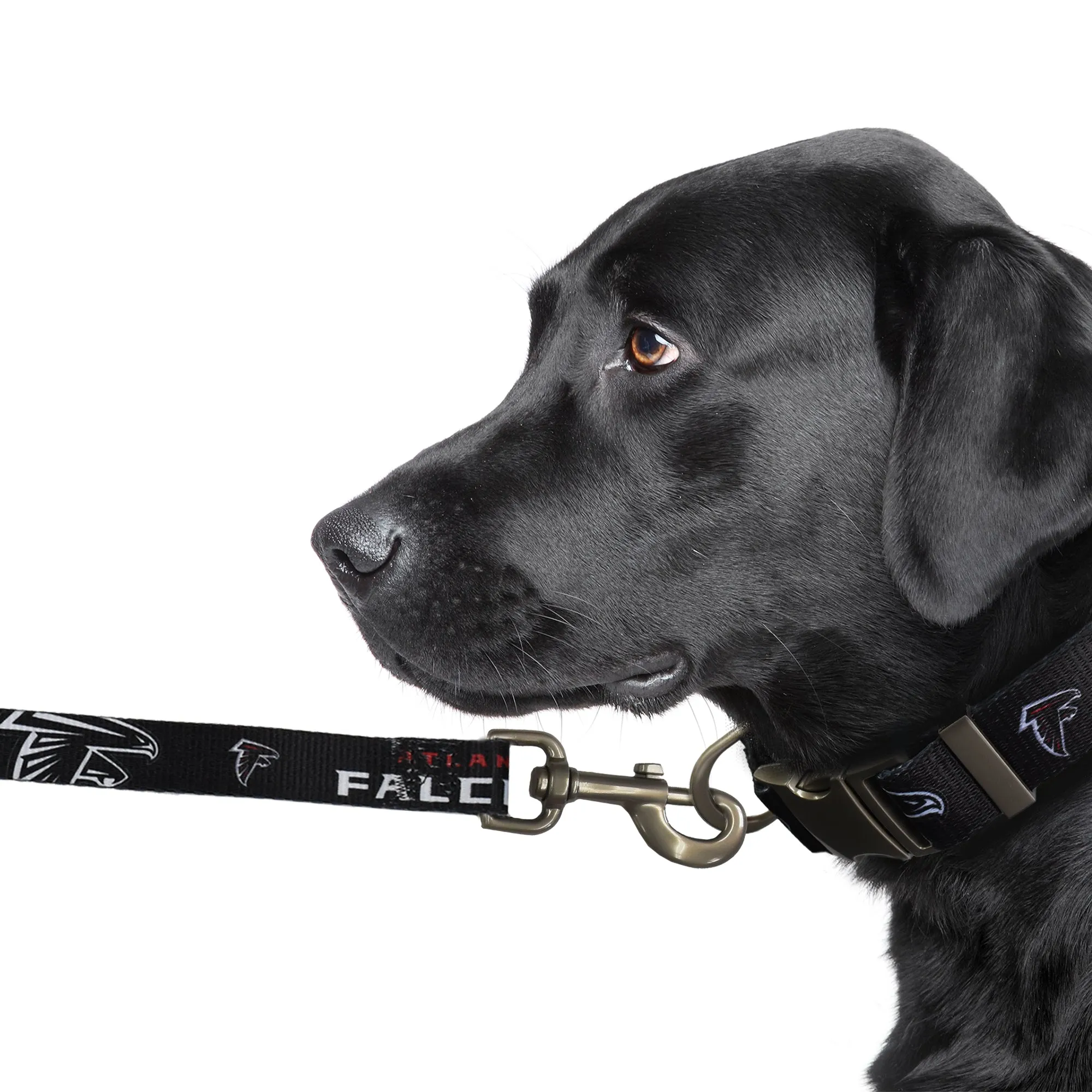 Atlanta Falcons Premium Pet Lead