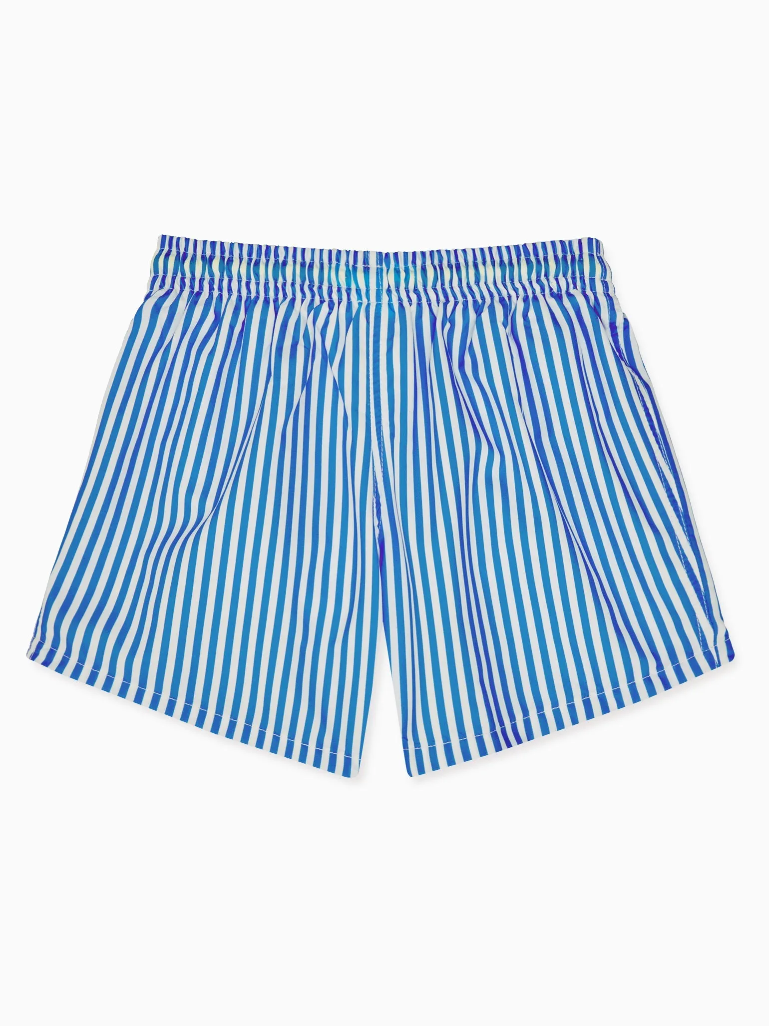 Blue Stripe Bravo Boy Swim Shorts