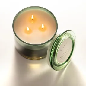 Hinoki Sage Statement Glass Candle